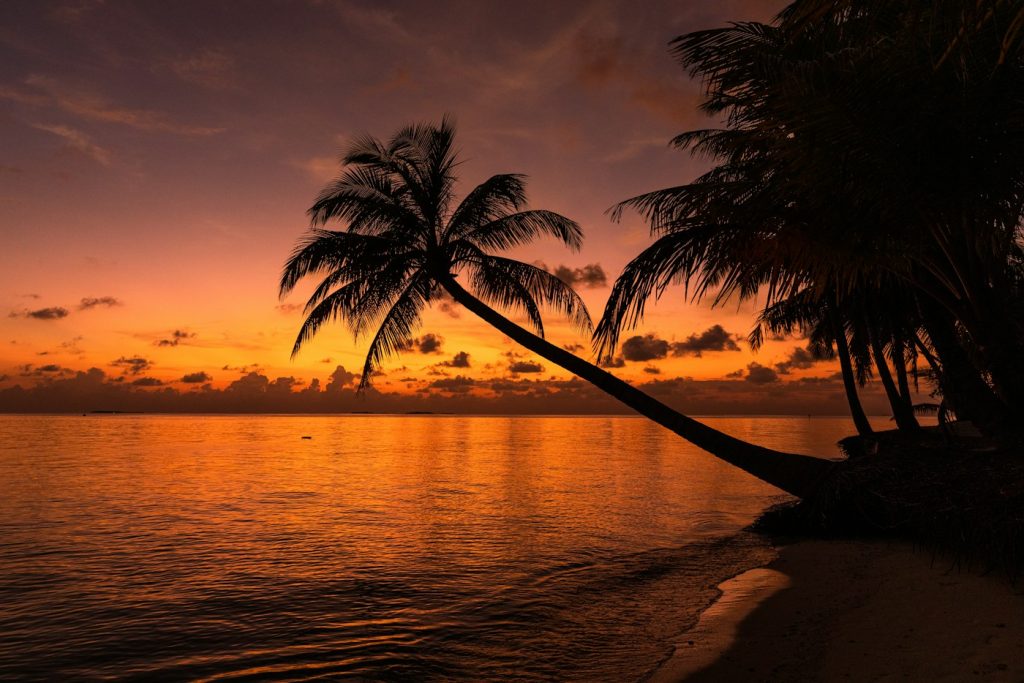 Honeymoon