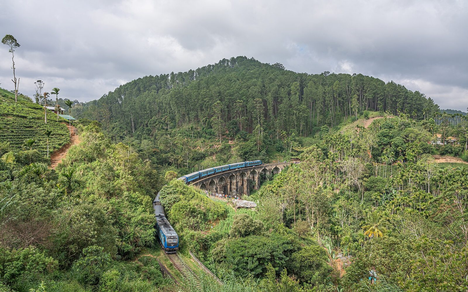 Sri Lanka, il Nine Arch Bridge presso Ella